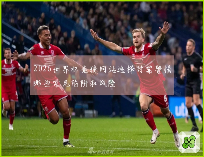 2026世界杯竞猜网站选择时需警惕哪些常见陷阱和风险