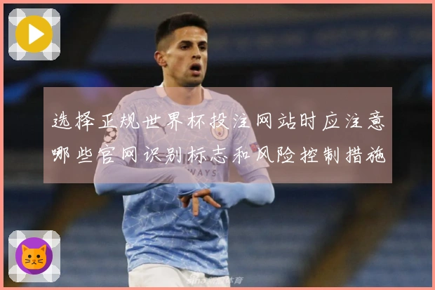 选择正规世界杯投注网站时应注意哪些官网识别标志和风险控制措施